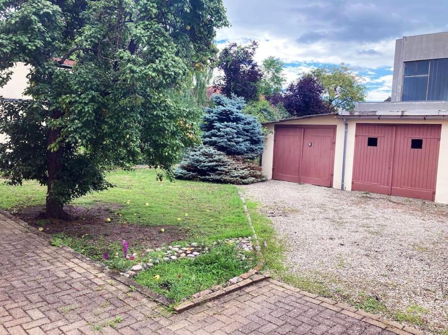 Charmant T3 Proche Du Centre-Ville Colmar Zewnętrze zdjęcie