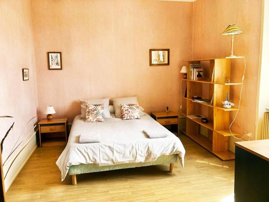 Charmant T3 Proche Du Centre-Ville Colmar Zewnętrze zdjęcie